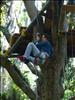 Escalada de Arboles (4)